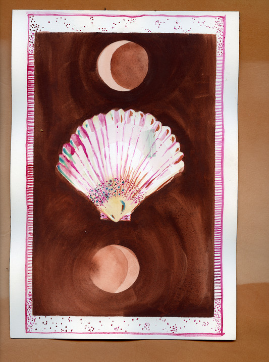 Shell and Moon Study