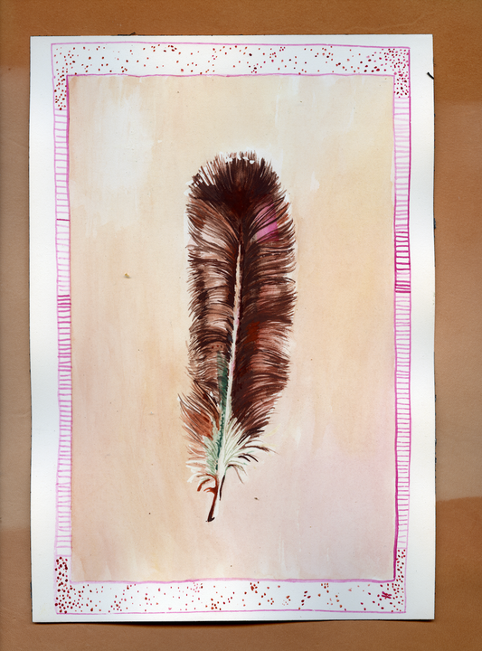 Feather Study